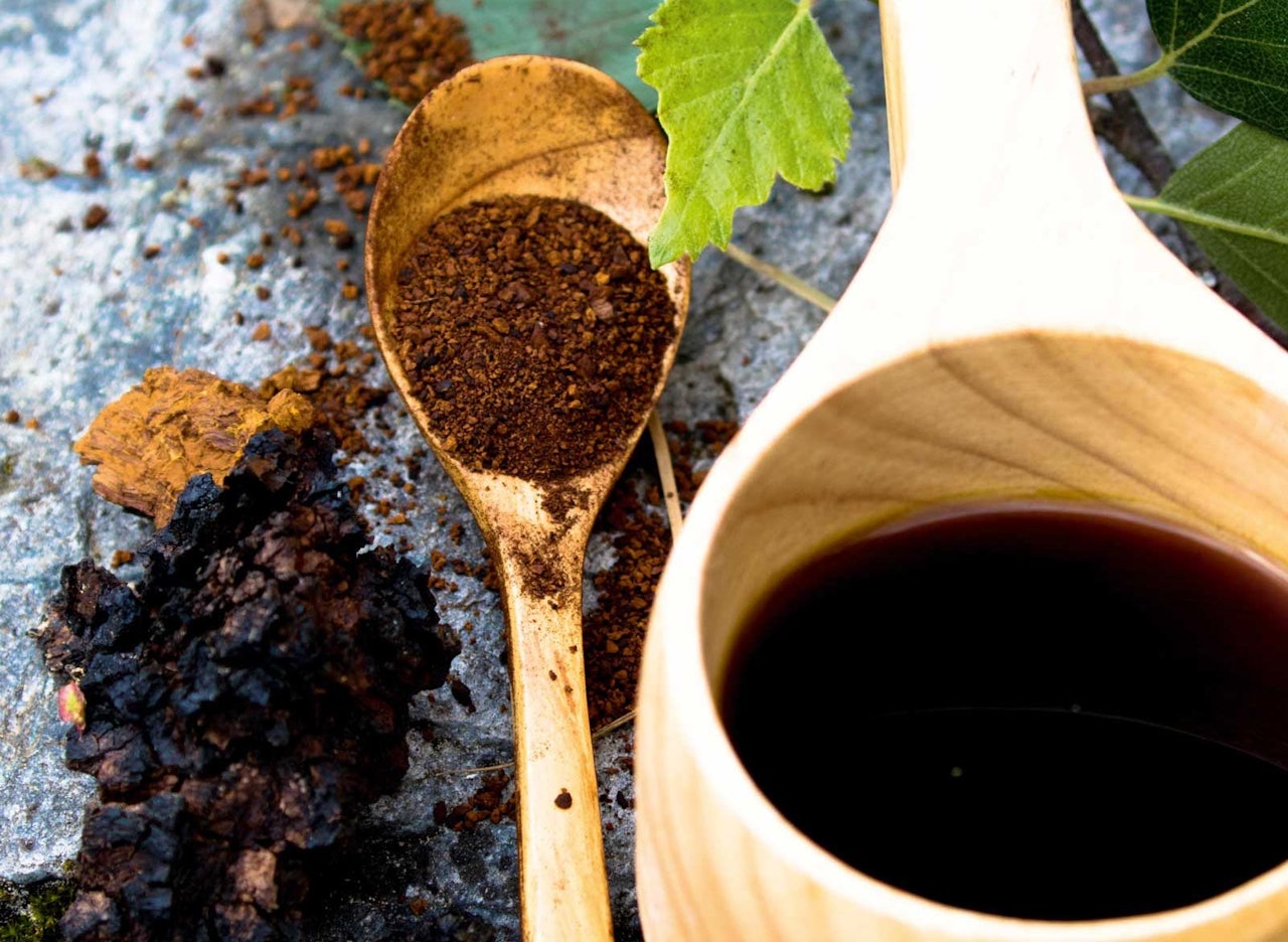 CHAGA SOM DRIKK: Avhengig av styrken smakar chaga litt som svart te eller svak kaffi. Foto: Sigrid Henjum chaga som kaffe