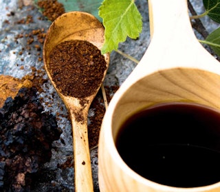 CHAGA SOM DRIKK: Avhengig av styrken smakar chaga litt som svart te eller svak kaffi. Foto: Sigrid Henjum chaga som kaffe