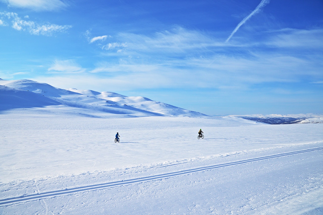 SKAREFØRE: Skal du ha gleden av snø som bærer, kan du ikke vente til langt på dag. Foto: Pia Sjögren sykling på skare