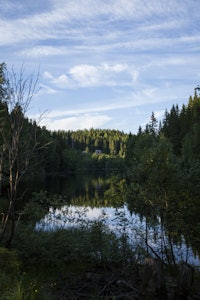 På veien mellom Gørja og Middagskollen. Foto: Marte Stensland Jørgensen På veien mellom Gørja og Middagskollen. Foto: Marte Stensland Jørgensen