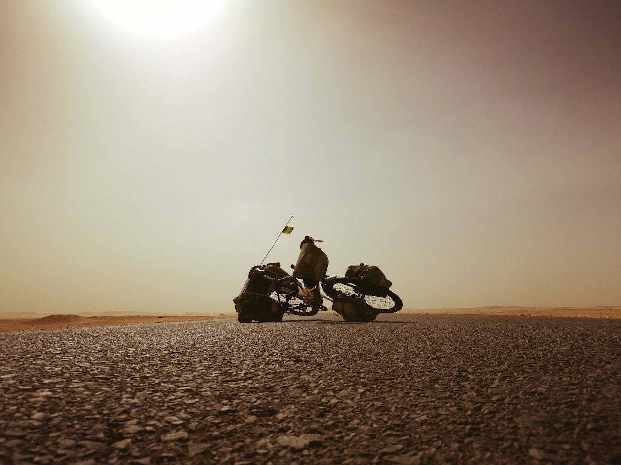 HETT OG TRÅTT: Utfordrende strekning Ett og annet tre. Sand. Åpent landskap. Blå himmel. Dyreskrotter langs veien. Foto: Teresie Hommersand HETT OG TRÅTT: Utfordrende strekning Ett og annet tre. Sand. Åpent landskap. Blå himmel. Dyreskrotter langs veien. Foto: Teresie Hommersand
