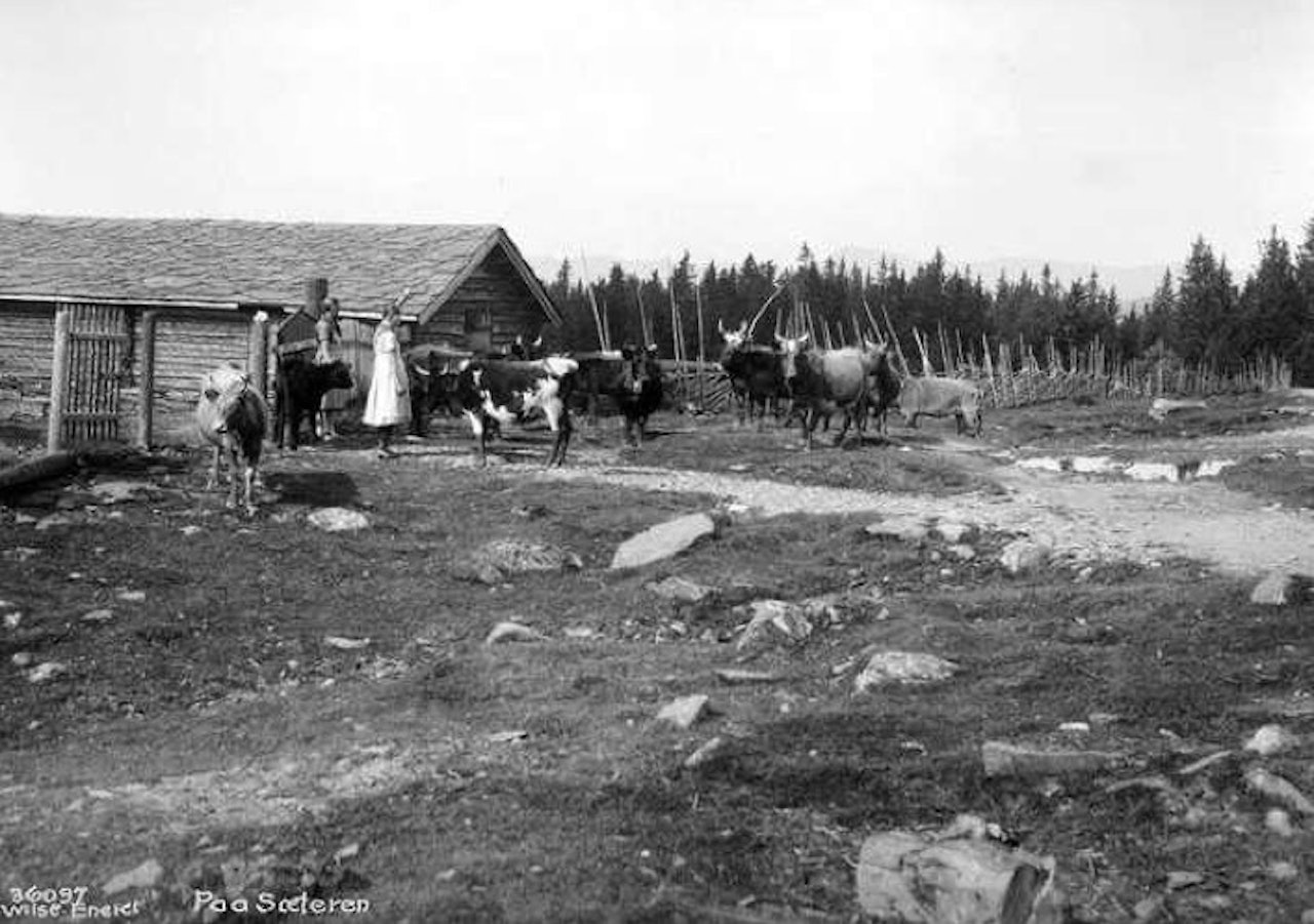 FRIERE OVER TREGRENSA: Seterjenta, eller forestillingen om henne, ble et forbilde for den urbane kvinnen når hun insisterte på å delta i friluftslivet. Nede i bygdene var omgang mellom kjønnene strenge, men setra var i mange områder et fristed, skriver Bjørn Tordsson. Foto: Anders Beer Wilse/Nasjonalgalleriet  FRIERE OVER TREGRENSA: Seterjenta, eller forestillingen om henne, ble et forbilde for den urbane kvinnen når hun insisterte på å delta i friluftslivet. Nede i bygdene var omgang mellom kjønnene strenge, men setra var i mange områder et fristed, skriver Bjørn Tordsson. Foto: Anders Beer Wilse/Nasjonalgalleriet