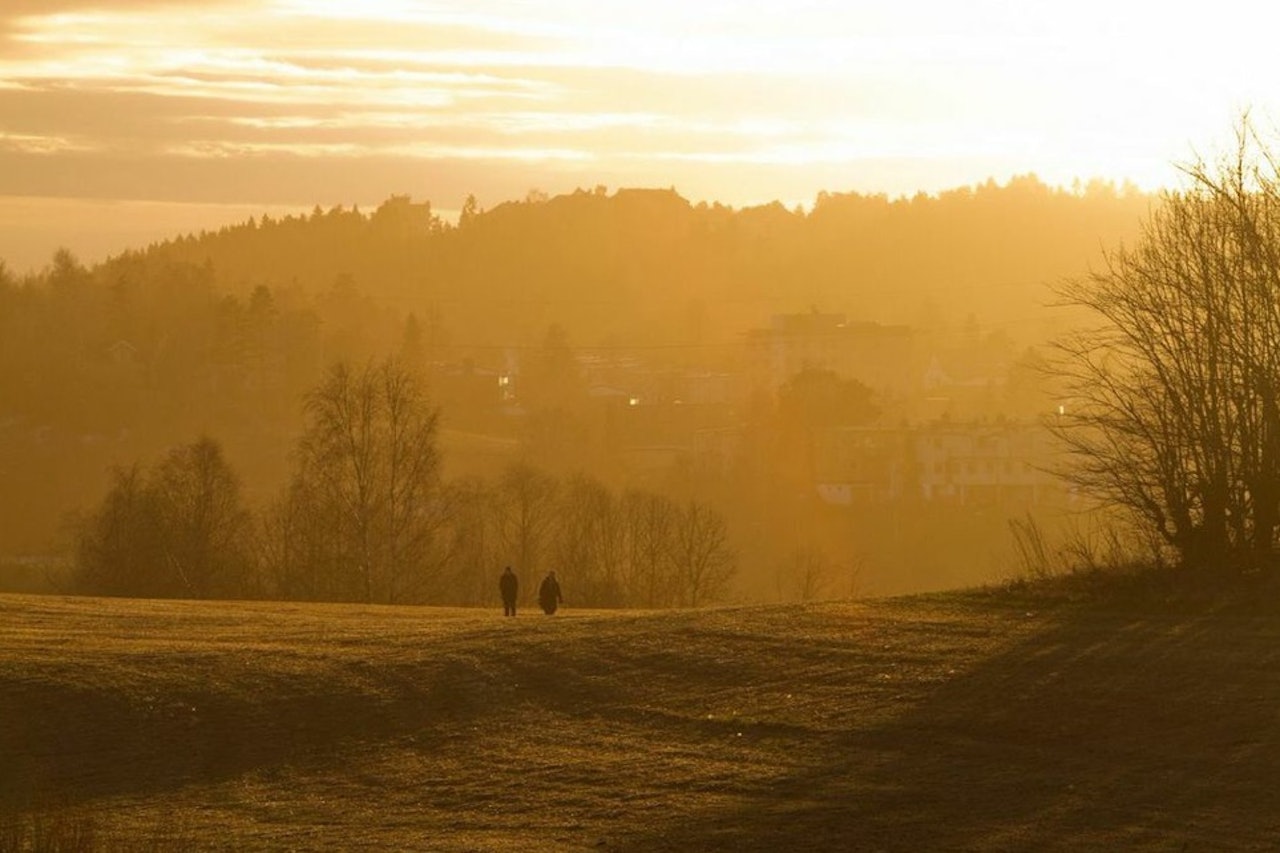 FANG SOLSTRÅLENE: Når solen kryper såvidt over horisonten, så kan man få et fint og varmt uttrykk. Bildet er fra jordene ved Østensjø gård. Lukkertid: 1/320s. Blenderåpning: f/8. Lysfølsomhet: ISO 400. Brennvidde: 230mm. Foto: Snorre Veggan oslo-lyset