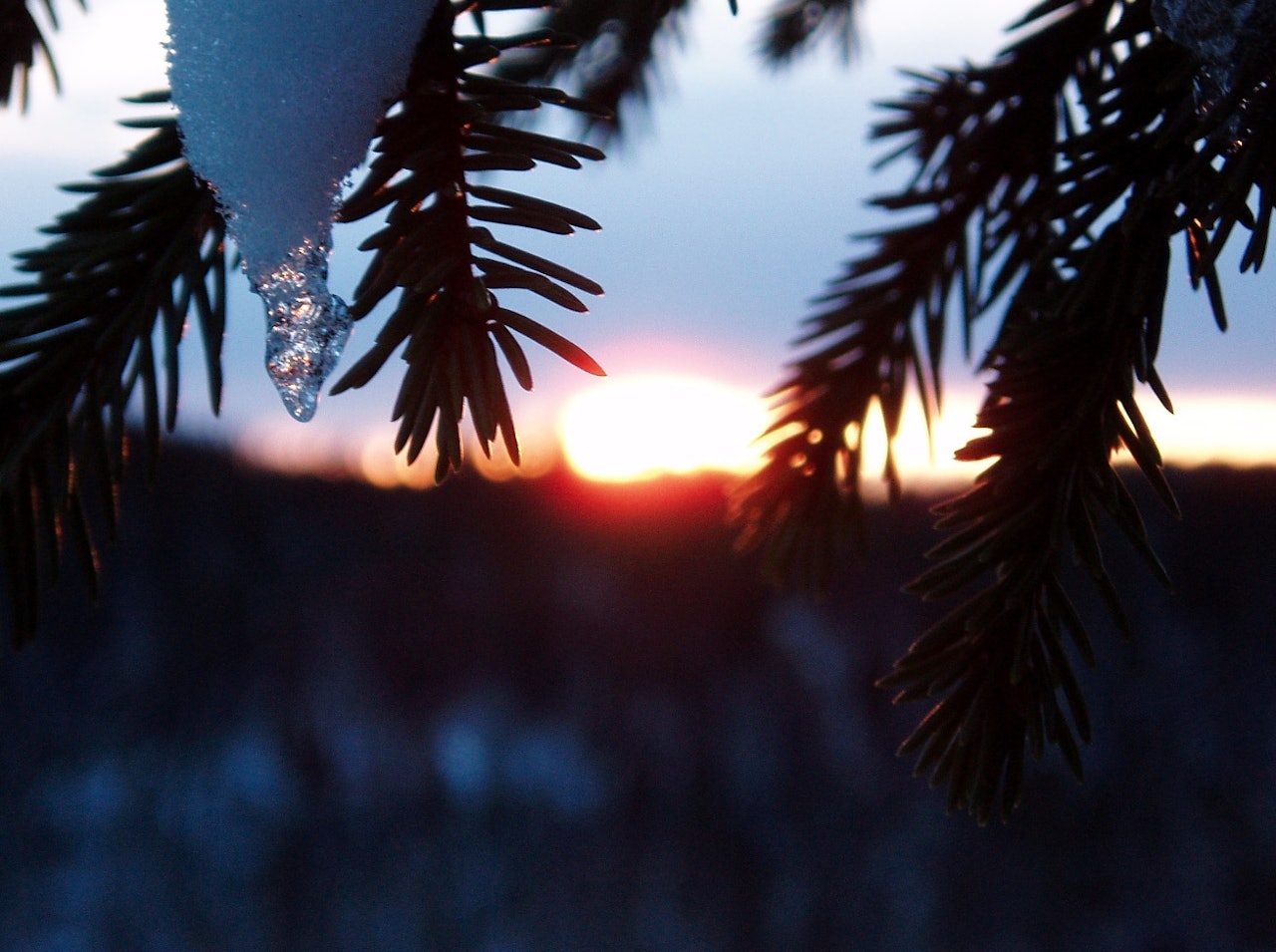 GIKK SEG VILL: Det tok tid før jeg klarte å innrømme det for meg selv at jeg hadde gått feil, og når jeg til slutt gjorde det, da var det allerede for sent, skriver Marius M. Sæther. Foto: Lars Wegge gå seg bort på tur