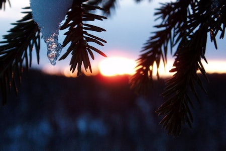 GIKK SEG VILL: Det tok tid før jeg klarte å innrømme det for meg selv at jeg hadde gått feil, og når jeg til slutt gjorde det, da var det allerede for sent, skriver Marius M. Sæther. Foto: Lars Wegge gå seg bort på tur