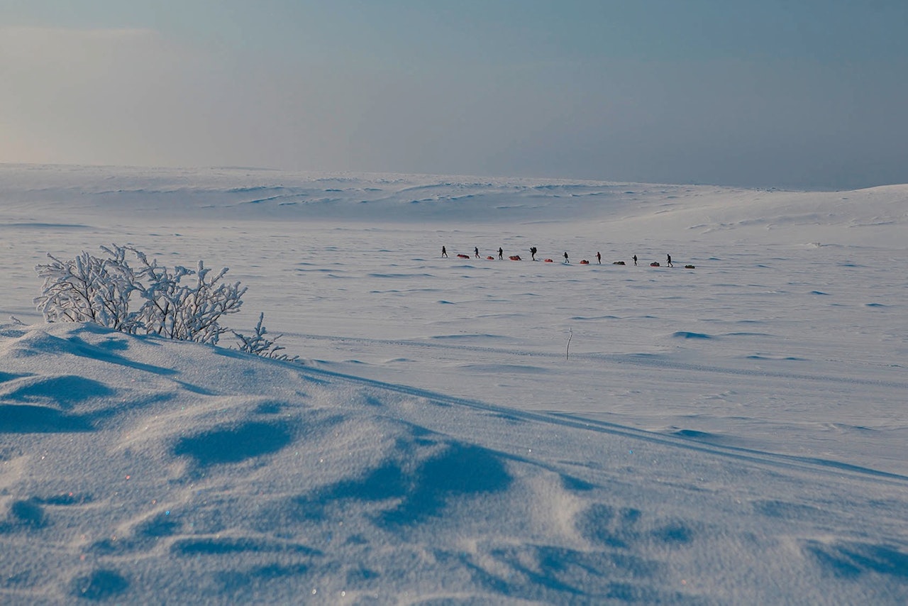 GOD RYTME: Vi går en time, stopper i ti minutter. Går en time. Stopper i ti minutter. Det er en fin rutine. Alle foto: Matti Bernitz Pedersen GOD RYTME: Vi går en time, stopper i ti minutter. Går en time. Stopper i ti minutter. Det er en fin rutine. Alle foto: Matti Bernitz Pedersen