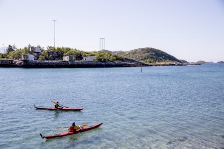 Foto: Line Hårklau Foto: Line Hårklau