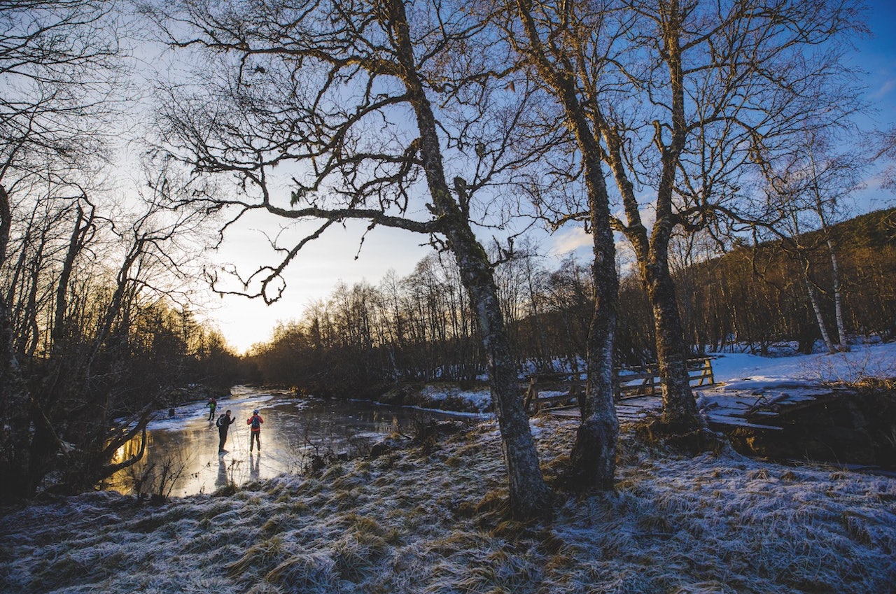 turskøyter røaelva molde