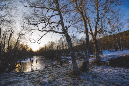 RØAELVA: Tidlig vinterstemning. Foto: Terje Aamodt/Film: Anders Eide turskøyter røaelva molde