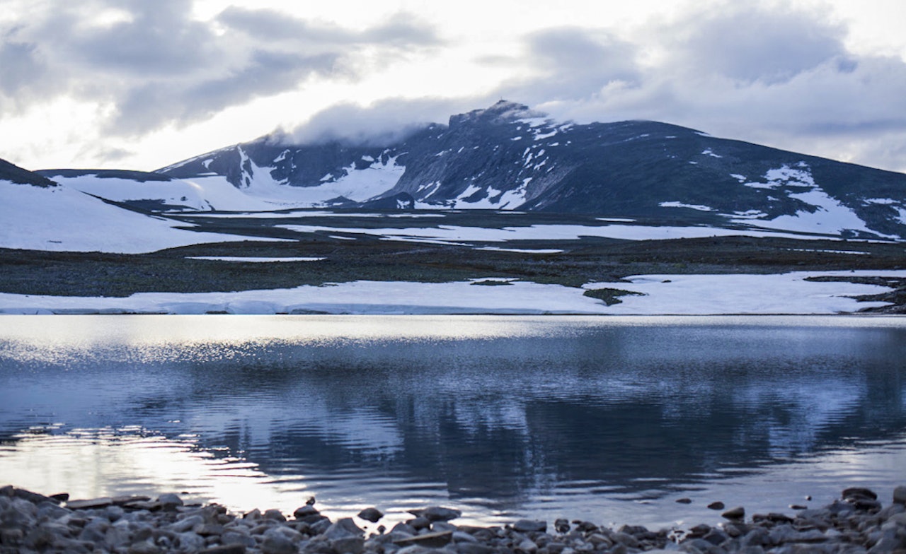 Snøhetta: En av turene går til Snøhetta. En 2000-topp som er lett å bestige. Foto: Marte Stensland Jørgensen