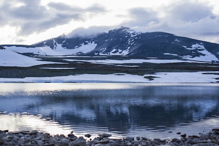 Snøhetta: En av turene går til Snøhetta. En 2000-topp som er lett å bestige. Foto: Marte Stensland Jørgensen Snøhetta: En av turene går til Snøhetta. En 2000-topp som er lett å bestige. Foto: Marte Stensland Jørgensen