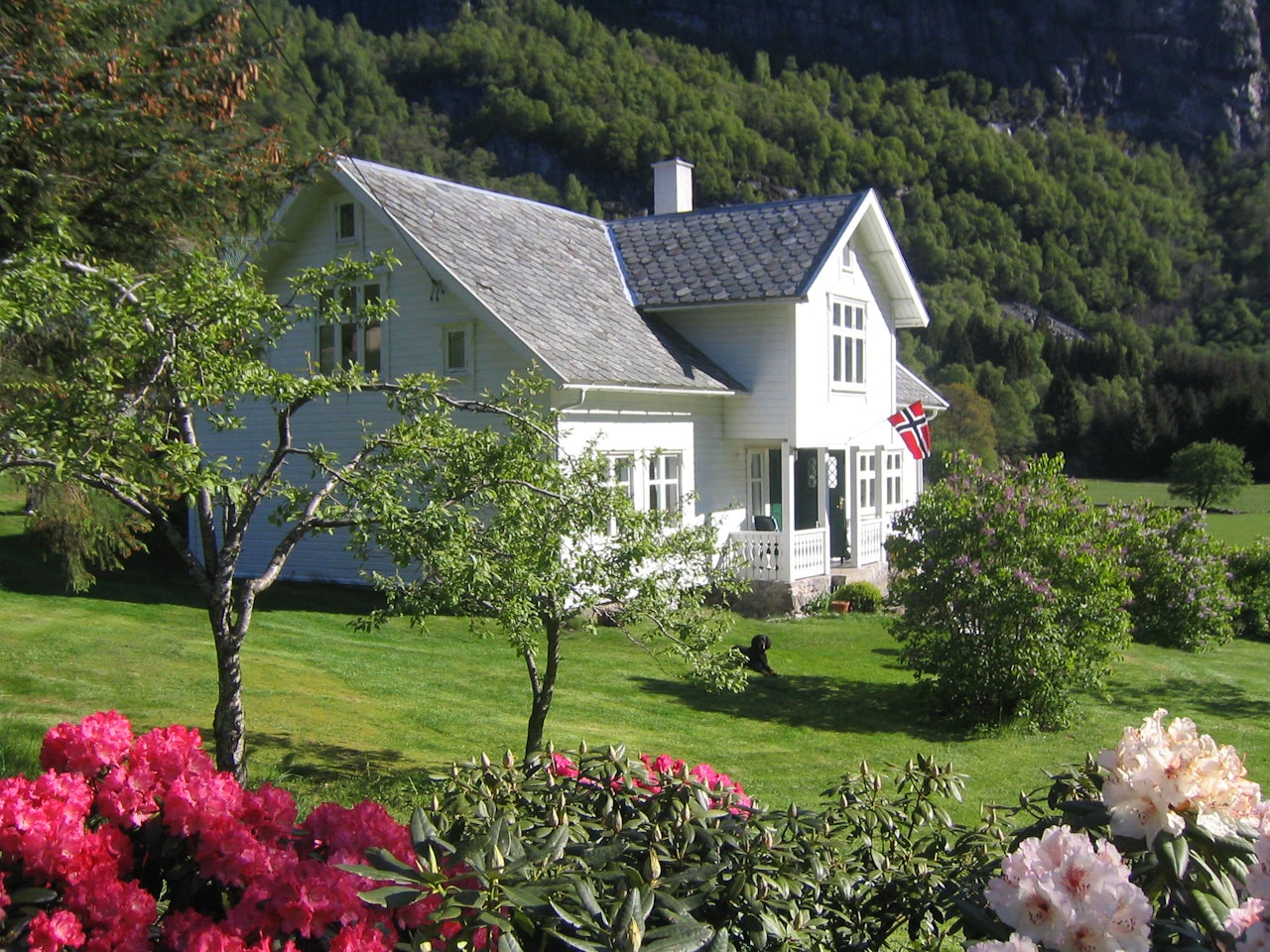 IDYLLISK: Hauane Gård ligger innerst i Lysebotn, en bygd som bare har 14 fastboende innbyggere, men som hver eneste sommer får besøk av 100.000 tilreisende turister. Foto: Kjell Josten Lyse hauane bed & breakfast