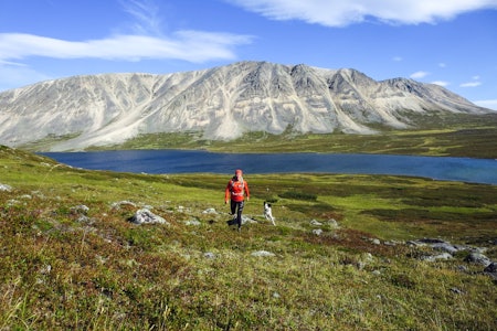 FINE LØPEFORHOLD I FINNMARK : Fjellet i bakgrunnen heter Vaddasgaisa (1028 moh) og ligger i Porsanger hvor Marit bor. Hun er på vei opp på Vuorji som er 1024 moh. i Stabbursdalen nasjonalpark. Foto: Privat marit holm