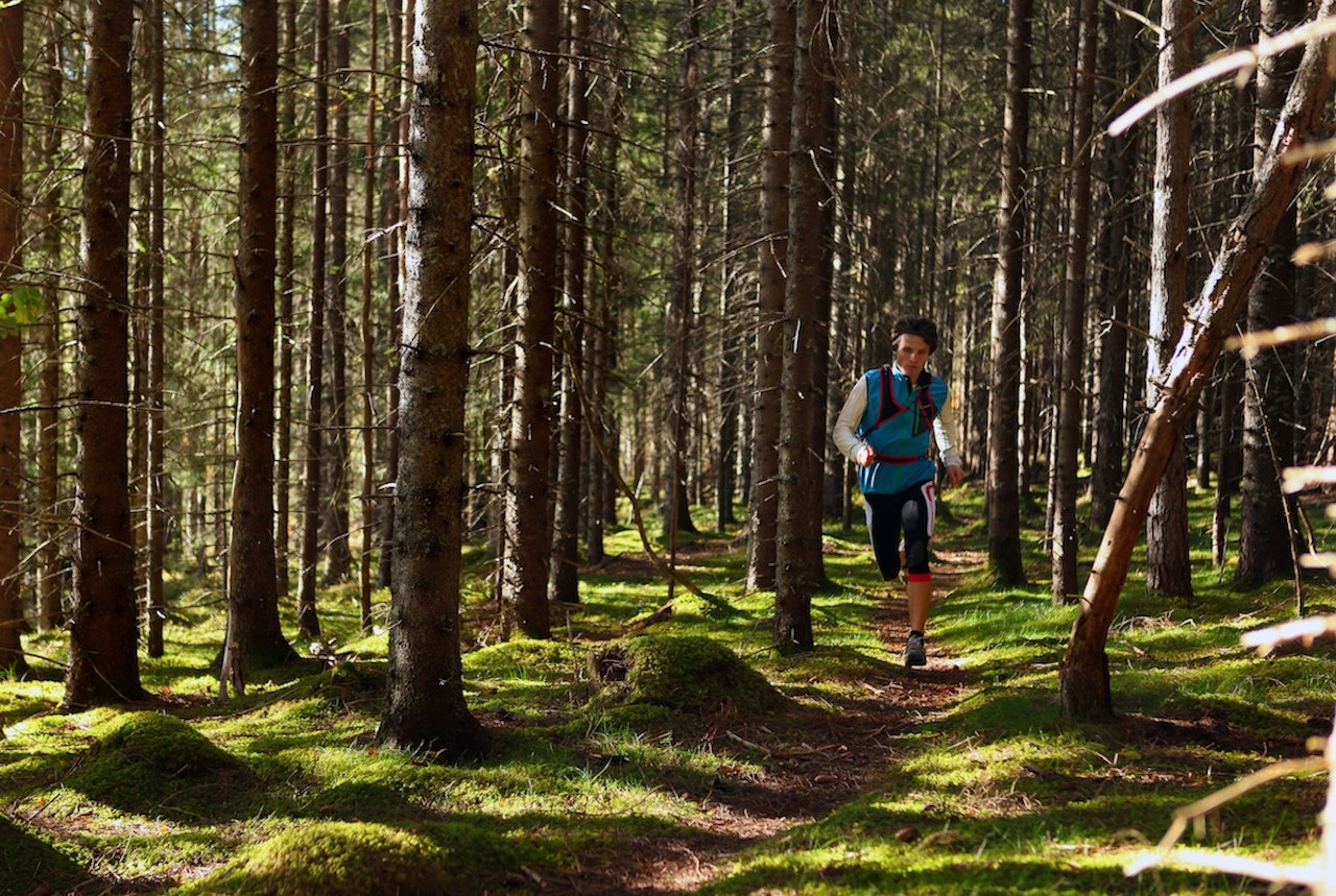 LØPSSTERK: Ola Hovdenak er Norges beste skibestiger om vinteren og en av de beste i lange terrengløp på sommerføre. Foto: Matti Bernitz LØPSSTERK: Ola Hovdenak er Norges beste skibestiger om vinteren og en av de beste i lange terrengløp på sommerføre. Foto: Matti Bernitz