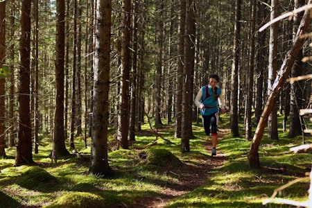 LØPSSTERK: Ola Hovdenak er Norges beste skibestiger om vinteren og en av de beste i lange terrengløp på sommerføre. Foto: Matti Bernitz LØPSSTERK: Ola Hovdenak er Norges beste skibestiger om vinteren og en av de beste i lange terrengløp på sommerføre. Foto: Matti Bernitz