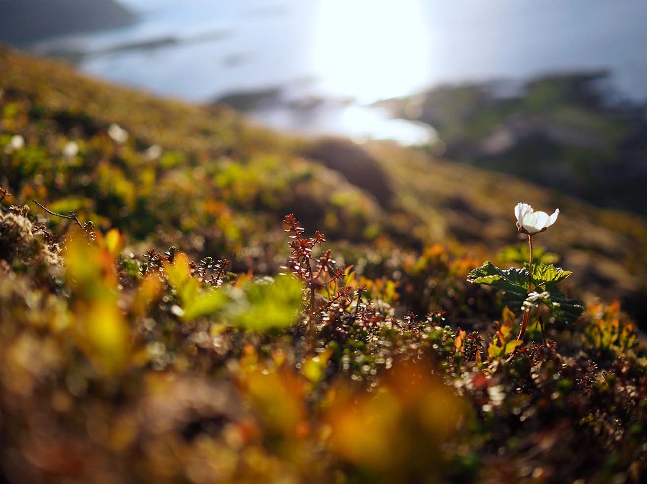 ROM FOR ALT: Det finnes ingen idealfunksjon. Det er ikke enten sterk eller svak. Du er begge på samme tid. Du er sterk i deg sjøl. Svak mot naturens krefter. Det er vi alle. Det er rom for alt. skriver Maria Kittelsen ROM FOR ALT: Det finnes ingen idealfunksjon. Det er ikke enten sterk eller svak. Du er begge på samme tid. Du er sterk i deg sjøl. Svak mot naturens krefter. Det er vi alle. Det er rom for alt. skriver Maria Kittelsen
