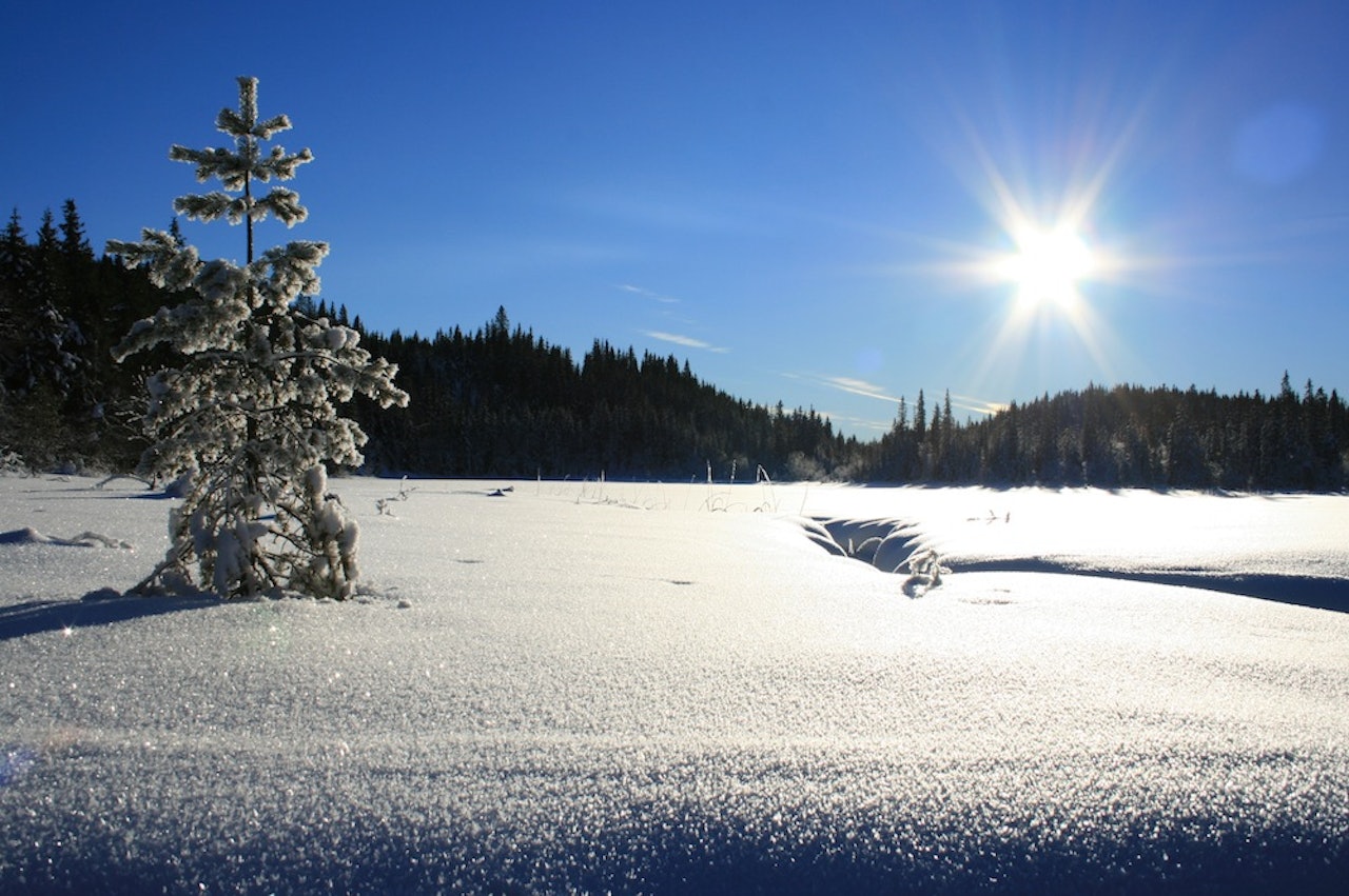 Kjerkjeberget, Oslo