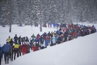 Inn i skogen i samlet flokk, enn så lenge Inn i skogen i samlet flokk, enn så lenge