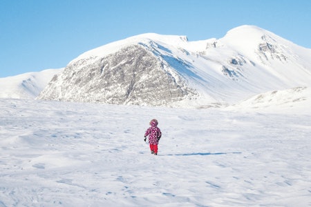 På leting: Aurora leter etter snøskavler. I bakgrunnen «Svartnuten» som lever opp til navnet sitt foran Rondslottet og Vinjeronden som er til høyre.