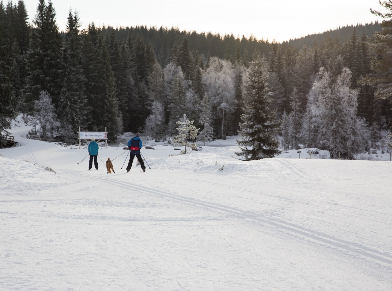BROVOLL: Her er det milevis med skiløyper som ligger klare både for to og firbente. Foto: Lillian Langseth