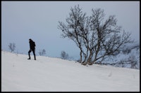Jeg går fra tregrensen etter en liten pause (selvutløser). Jeg går fra tregrensen etter en liten pause (selvutløser).
