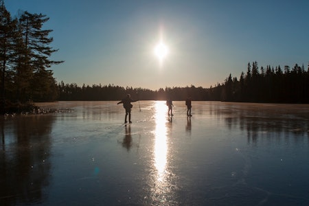 ISTID: Her fra Smalgjemenningen, et langstrakt vann i Romeriksåsene, og ekstra innbydende når isen har lagt seg. Foto: Marte Stensland Jørgensen turskøyter
