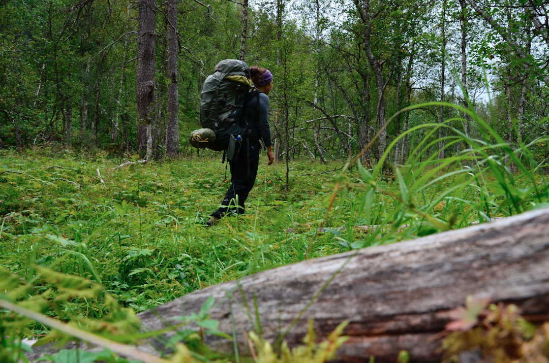 TELEGRAFRUTA: På telttur alene blir det mye å bære på for en oval uke i fjellet. Friheten ved å kunne sette opp teltet på de aller fineste utsiktspunktene gjør det allikevel verdt det. Foto: Ida Eri Sørbye TELEGRAFRUTA SALTFJELLET