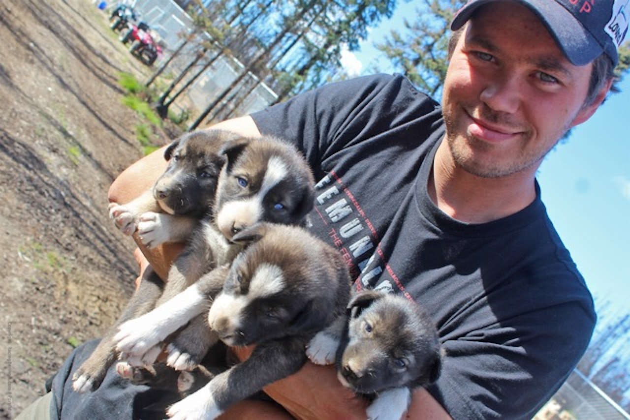 Joar Ulsom er kanskje ikke like godt kjent for alle nordmenn, bosatt i Alaska, men en av verdens beste hundekjørere. Foto: Mille Porsild joar ulsom hundekjører alaska