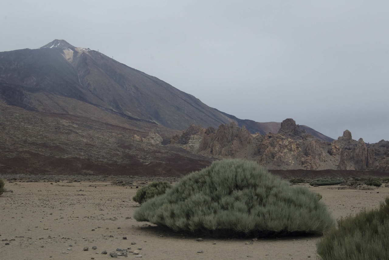 Pico del Teide har gondolbane nesten til toppen og er regnet som verdens tredje største vulkan. Foto: Erlend Sande Pico del Teide har gondolbane nesten til toppen og er regnet som verdens tredje største vulkan. Foto: Erlend Sande