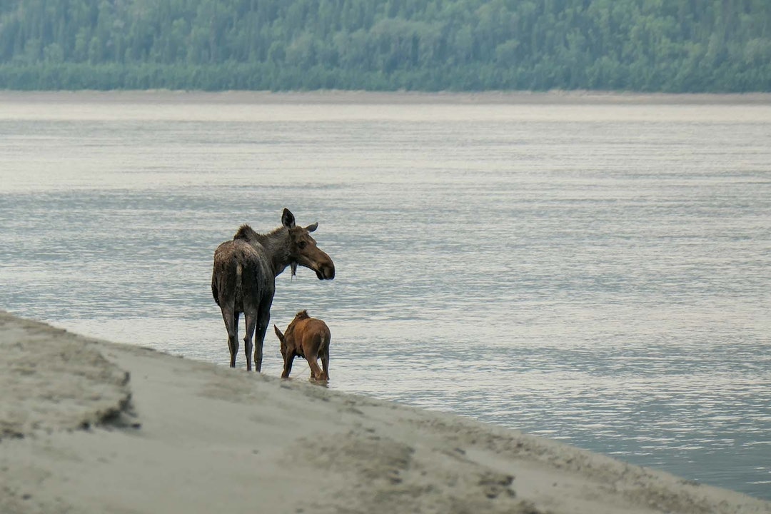 eventyrlig bryllupsreise eventyrlig bryllupsreise