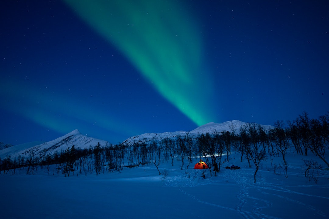 FINT: Det er ikke rart familien forelsket seg i naturen. Foto: Christer Rognerud Nordlys på tur