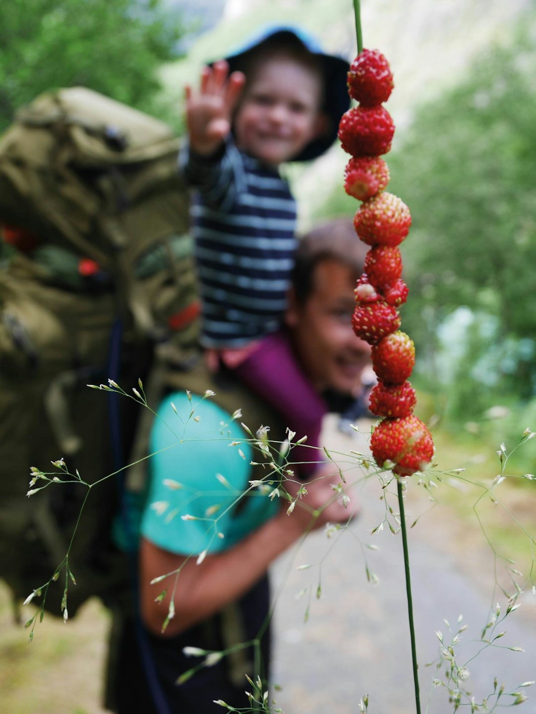 JORDBÆR: Flerdagerstur med jordbær attåt i en av Norges vakreste daler, Utladalen. Friluftsflokken-3