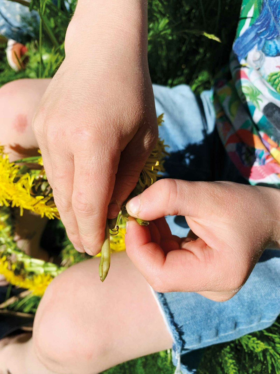 BLOMSTERKRANS: Løvetann er ikke bare ugress. blomsterkrans løvetann