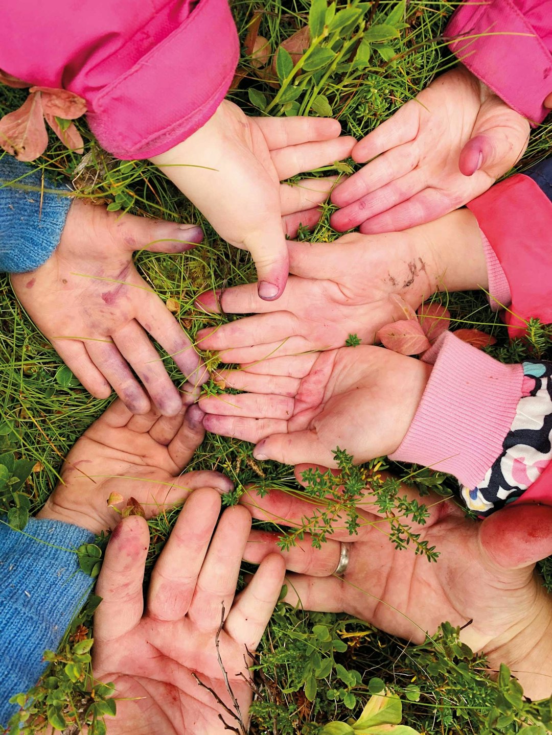 TEAM BLÅBÆR: Blåbærhender i alle størrelser på vei til overnatting ved Gull-tjønn på Venabygdsfjellet Foto: Kalle Kalelic blåbær hender barn