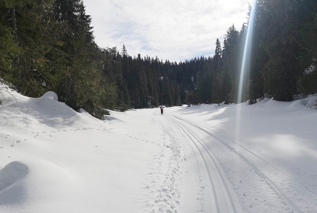 FØLG SKISPORET: Her fra Spålen, nærmere bestemt Tvetjernshøgda. Foto: Henrik Alpers skitur i marka