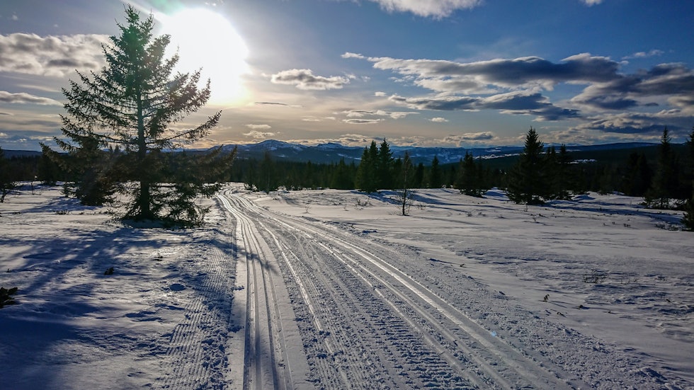 MOT SLUTTEN: Løypene gjennom Fåvang Østfjell mot Hafjell var nykjørte og ga god motivasjon for de siste 40 kilometerne til Sjusjøen. Foto: Matti Bernitz Pedersen trolløypa skitur langrenn