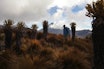 Los Nevados i Colombia. Foto: Matti Bernitz