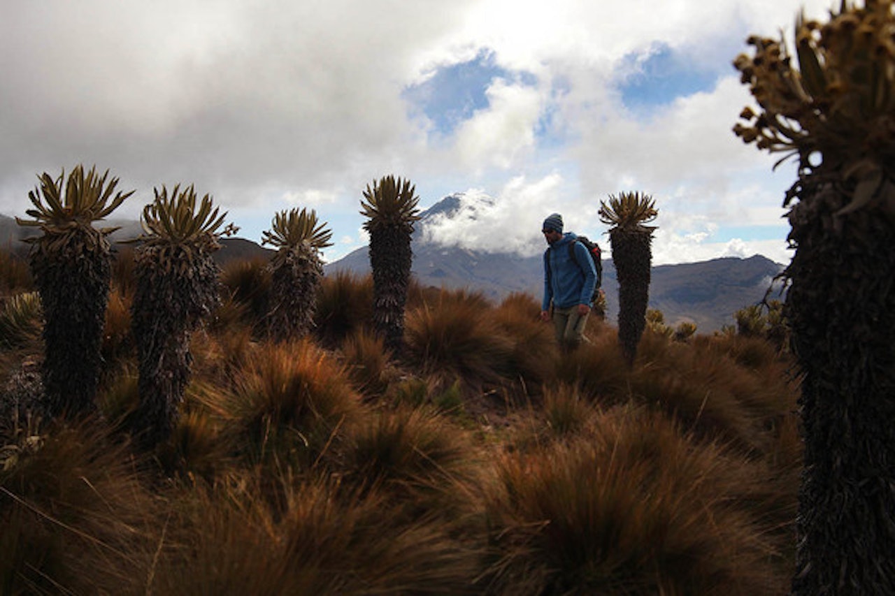 Los Nevados i Colombia. Foto: Matti Bernitz Los Nevados i Colombia. Foto: Matti Bernitz