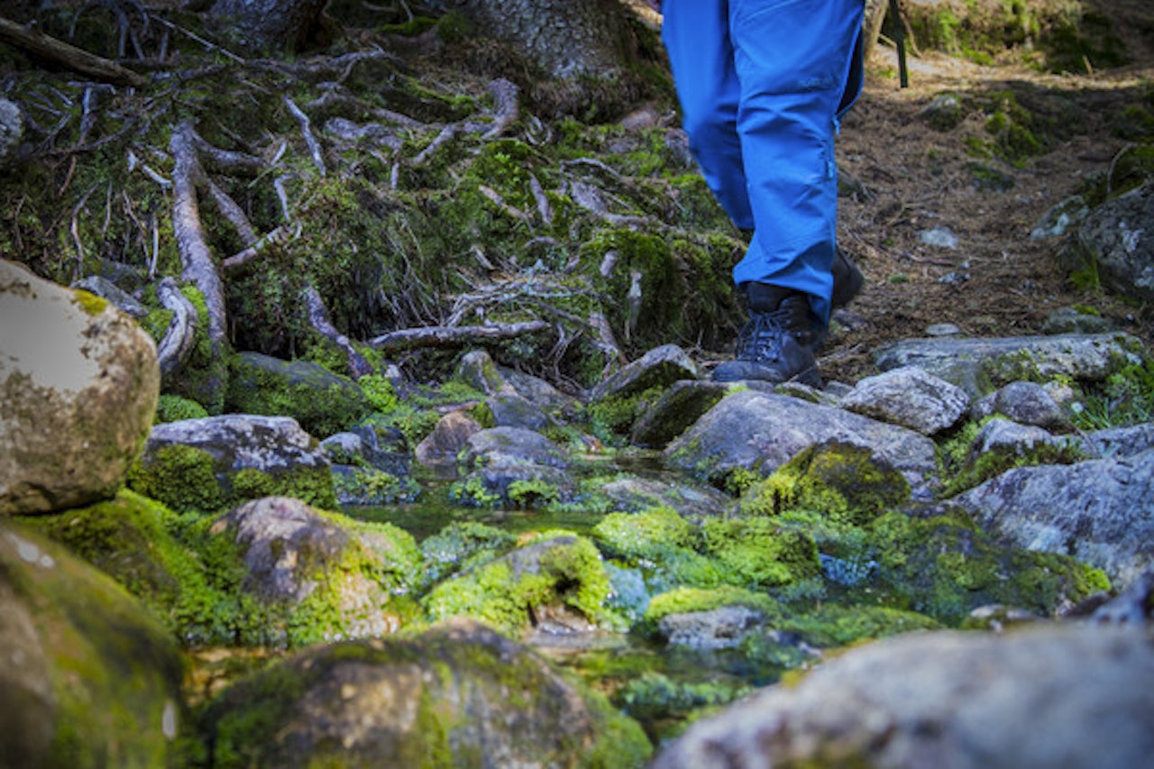 I våre hoder er vi et sprekt og turgående folk. Likevel har vi nesten sluttet å gå. Foto: Line Hårklau I våre hoder er vi et sprekt og turgående folk. Likevel har vi nesten sluttet å gå. Foto: Line Hårklau