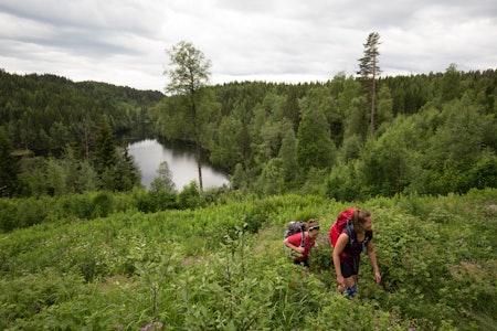 På vei gjennom marka ved Fortjernbråtan. Foto: Sylvain Cavatz På vei gjennom marka ved Fortjernbråtan. Foto: Sylvain Cavatz