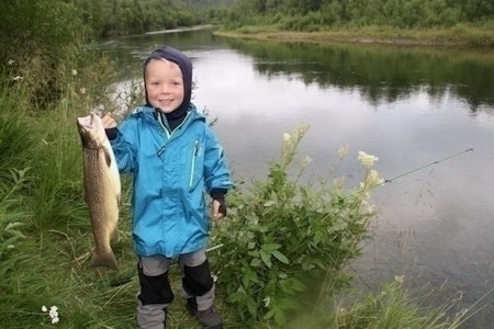 TØFFING: Jon Andreas (5) fikk denne sværingen av en fisk på fisketur i Dividalen. Se video i saken. Foto: Familien Rønneberg TØFFING: Jon Andreas (5) fikk denne sværingen av en fisk på fisketur i Dividalen. Se video i saken. Foto: Familien Rønneberg