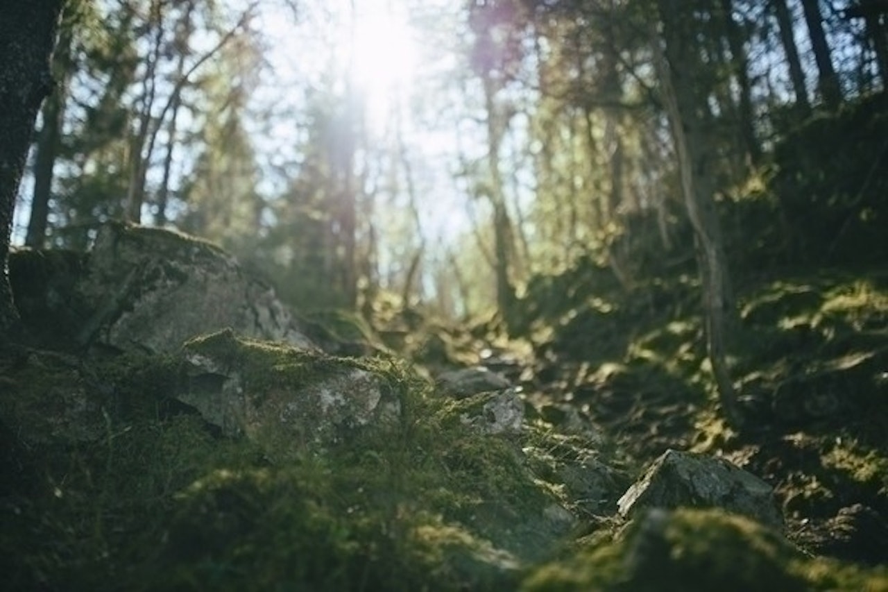 4. Juni lanserer DNT Ung i samarbeid med Protect Our Winters (POW) «Miljøvettreglene». Dette er syv enkle og lettbente miljøregler for friluftsfolket. Foto: Marius Dalseg 4. Juni lanserer DNT Ung i samarbeid med Protect Our Winters (POW) «Miljøvettreglene». Dette er syv enkle og lettbente miljøregler for friluftsfolket. Foto: Marius Dalseg