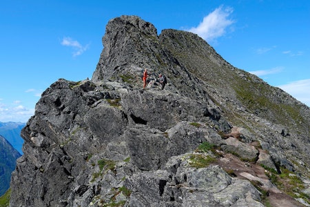 BLÅNEBBA: Spennende klyving for store og små over Romsdalseggen. Foto: Otto Teksum Lund. blånebba romsdalen