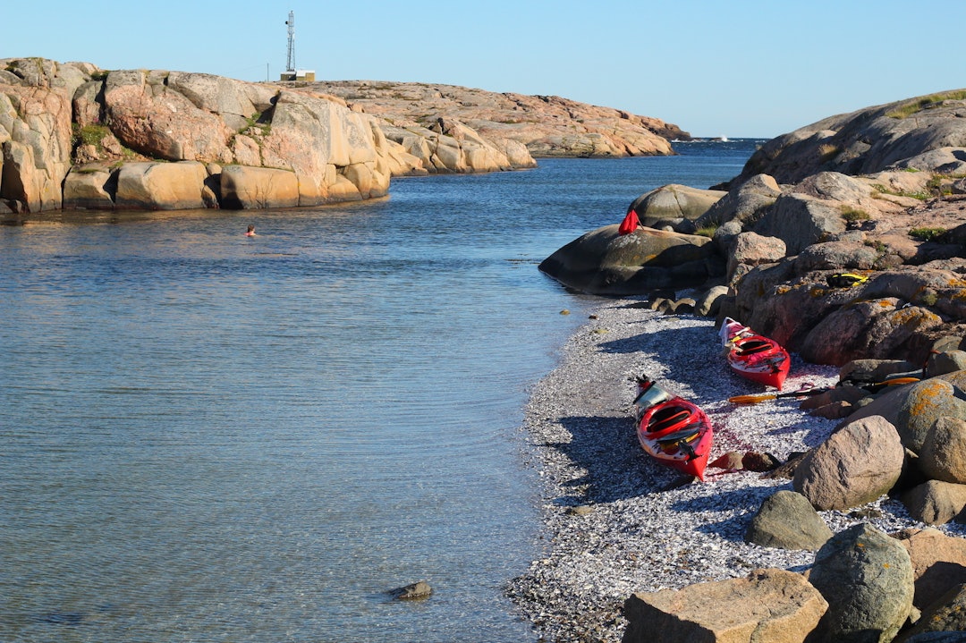 hvaler rundt med kajakk