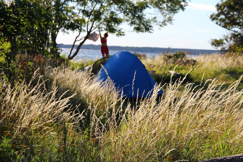 LY: Egnet for en natt. Foto: Øyvind Wold hvaler rundt med kajakk