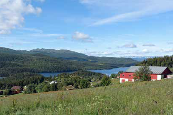 Austbø med Lognvikvatn og Tansvatn i bakgrunnen. (Foto: Erlend Larsen) Austbø Orrnuten turguide Rauland Telemark