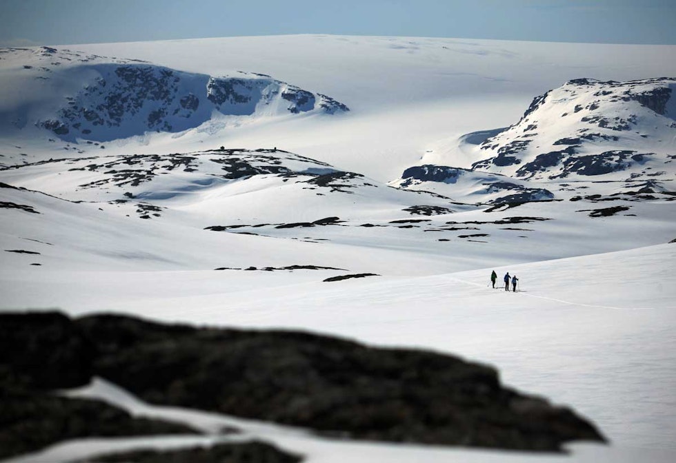 HVIT VÅR: Vårskitur fra Finse i mai. Hardangerjøkulen, fastlands-Norges sjette største isbre, i bakgrunnen. Foto: Matti Bernitz