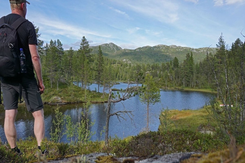 Longetjønn ligger fint til inne i skogen. I bakgrunnen ser vi fjellene ved Holtardalen, blant annet Brattskarnuten. (Foto: Erlend Larsen) 7VZVLUng