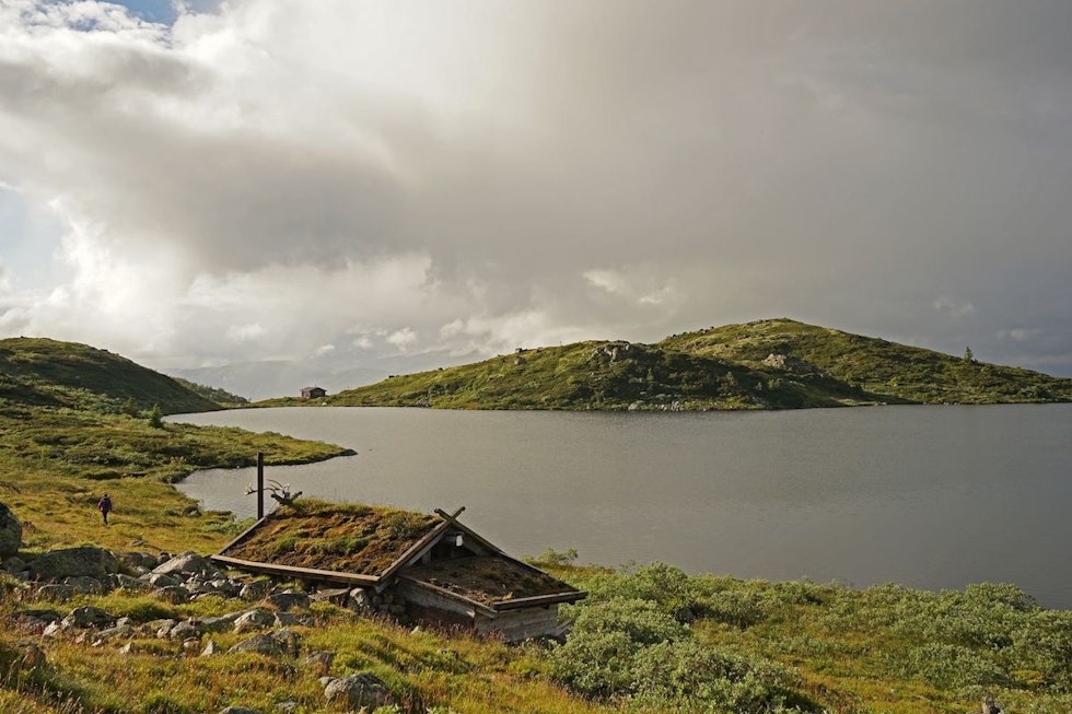 Fra Store Reinstjønn går turen ned mot skogen. (Foto: Erlend Larsen). h23uiSKA