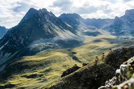 VELKOMMEN TIL SVEITS: Julia Hoffman, Stephen Matthews og Chris Winter langt oppe i fjellene over Saint Luc i Val d´Anniviers, en av Sveits´vakreste daler. Foto: Mattias Fredriksson stisykling alpene tog